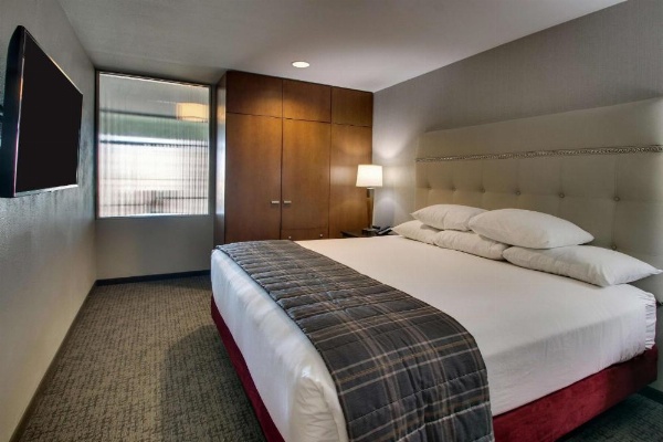 Drury Plaza Hotel San Antonio Riverwalk image 29